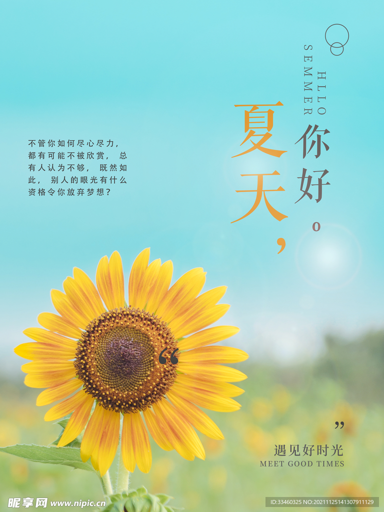 夏天你好