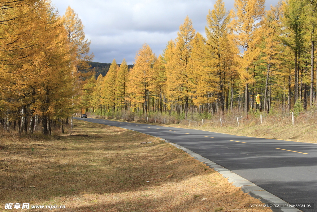 承德塞罕坝林间公路