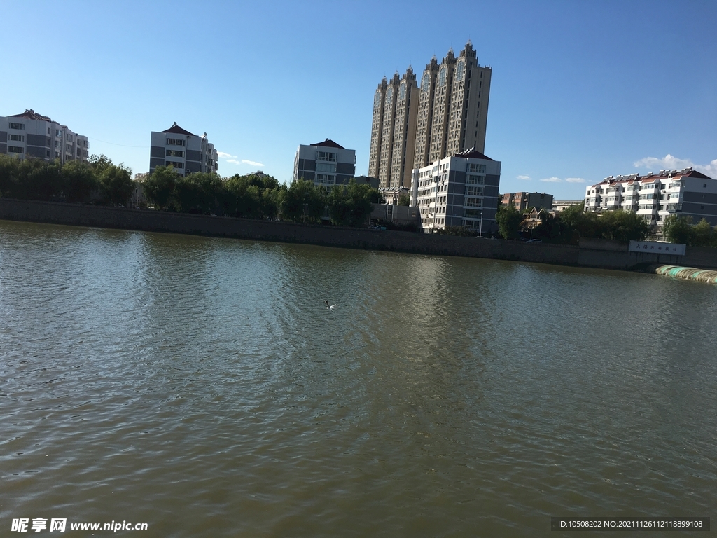 湖岸风景照