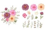 花纹 
