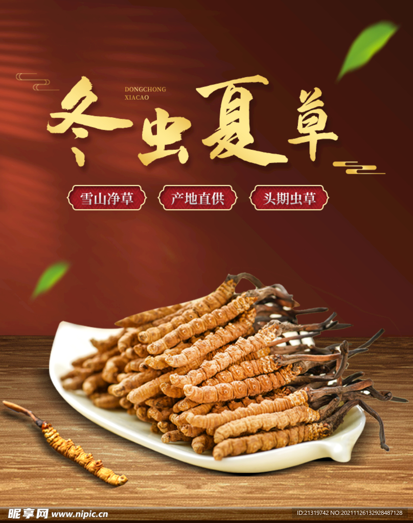 冬虫夏草