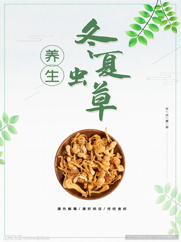 冬虫夏草