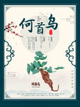 何首乌海报