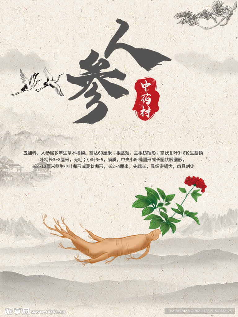 人参海报
