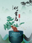 何首乌