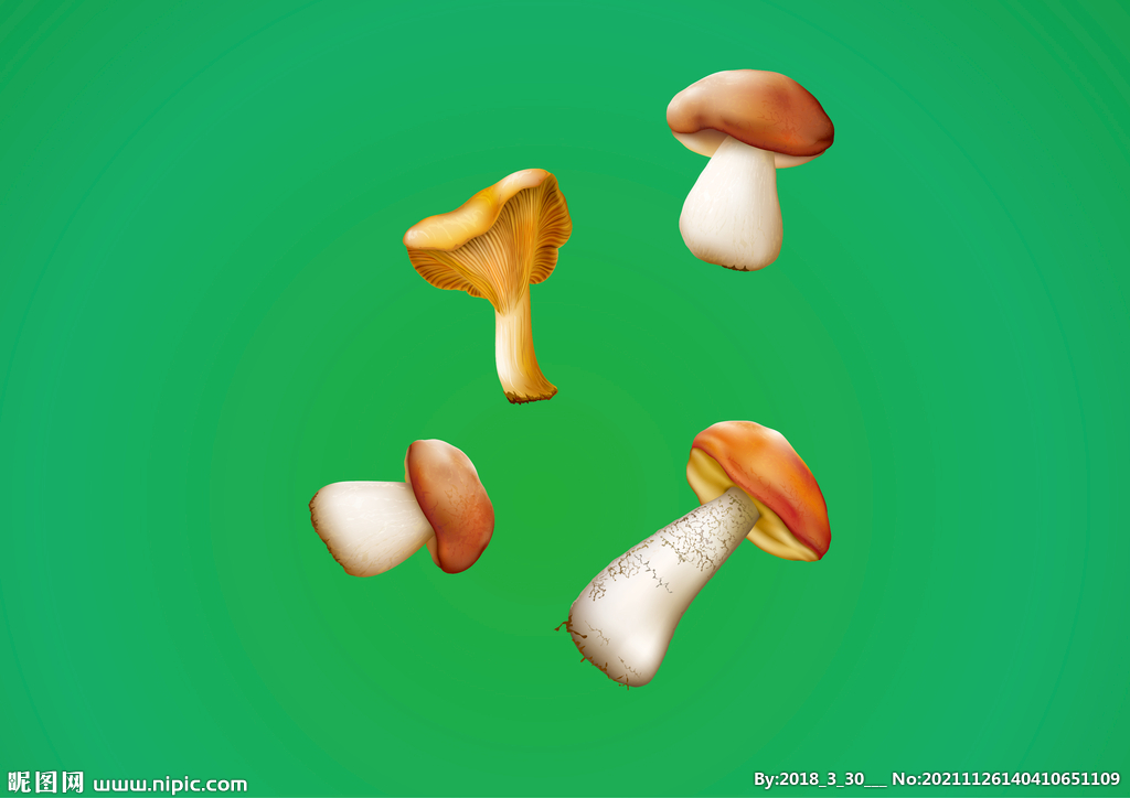 矢量手绘香菇蘑菇