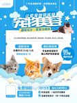 宠物美容