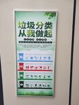 城市