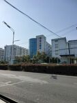 城市