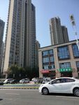 城市