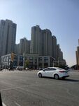 城市