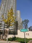 城市