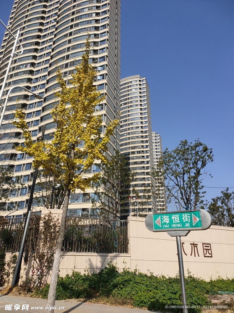 城市