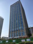 城市
