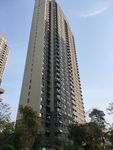 城市