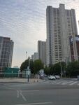 城市