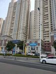 城市