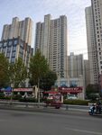 城市