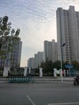 城市