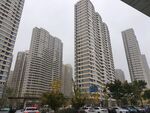 城市