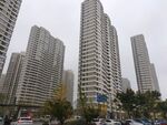 城市
