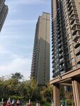城市