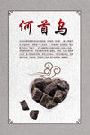 何首乌
