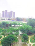城市建筑