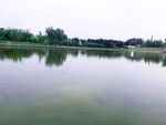 湖