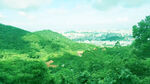 群山