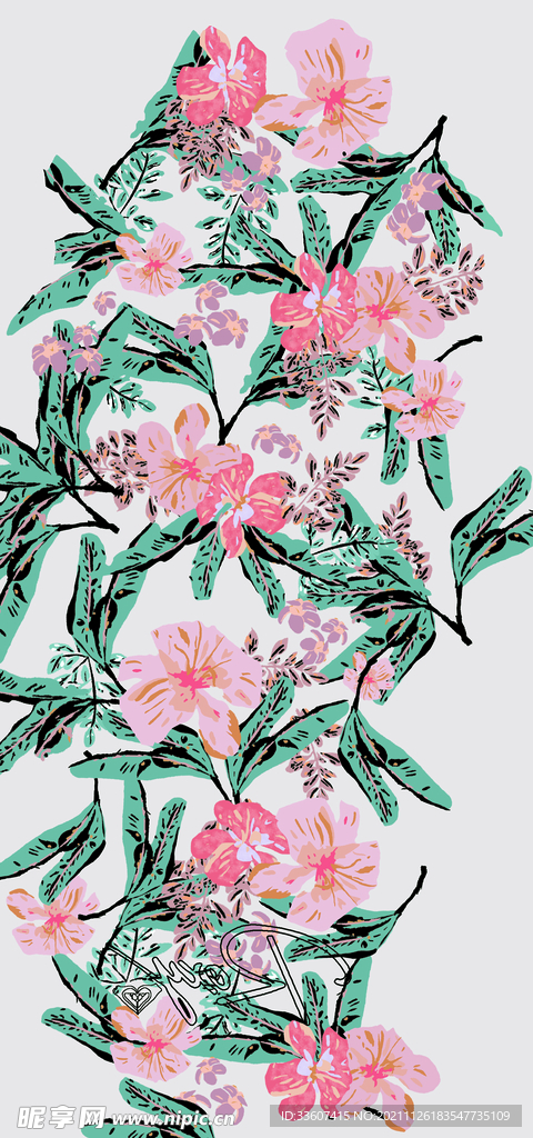 芭蕉叶