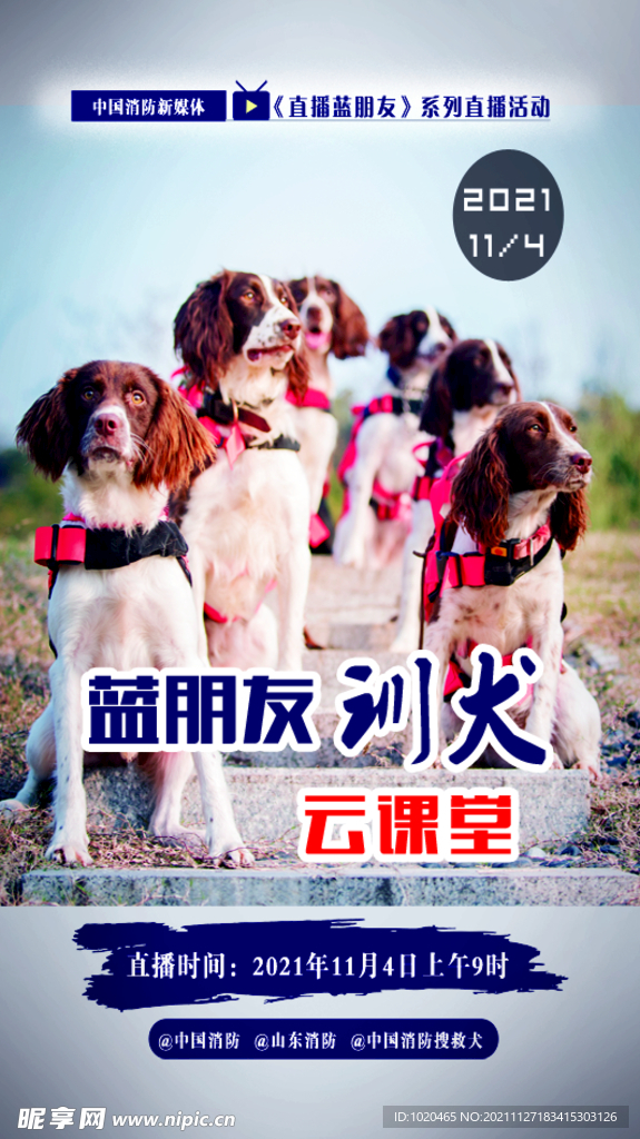 搜救犬海报