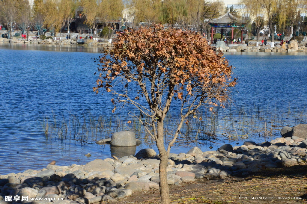 龙潭西湖风景