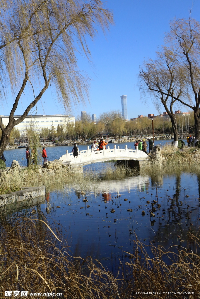 龙潭西湖风景