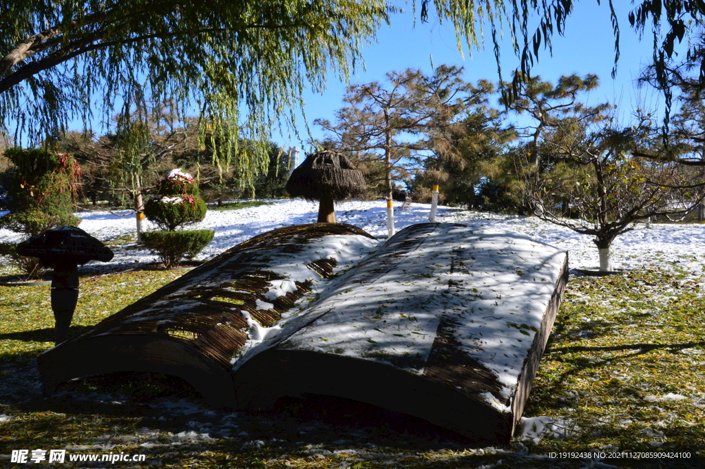 冬雪风景   