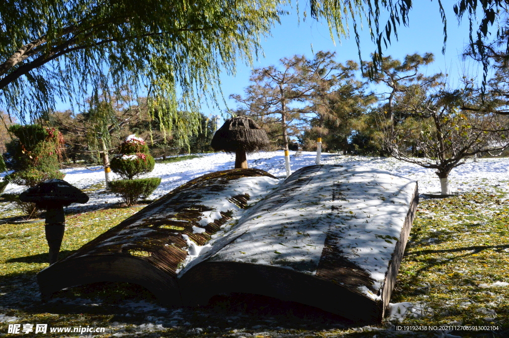 公园风景