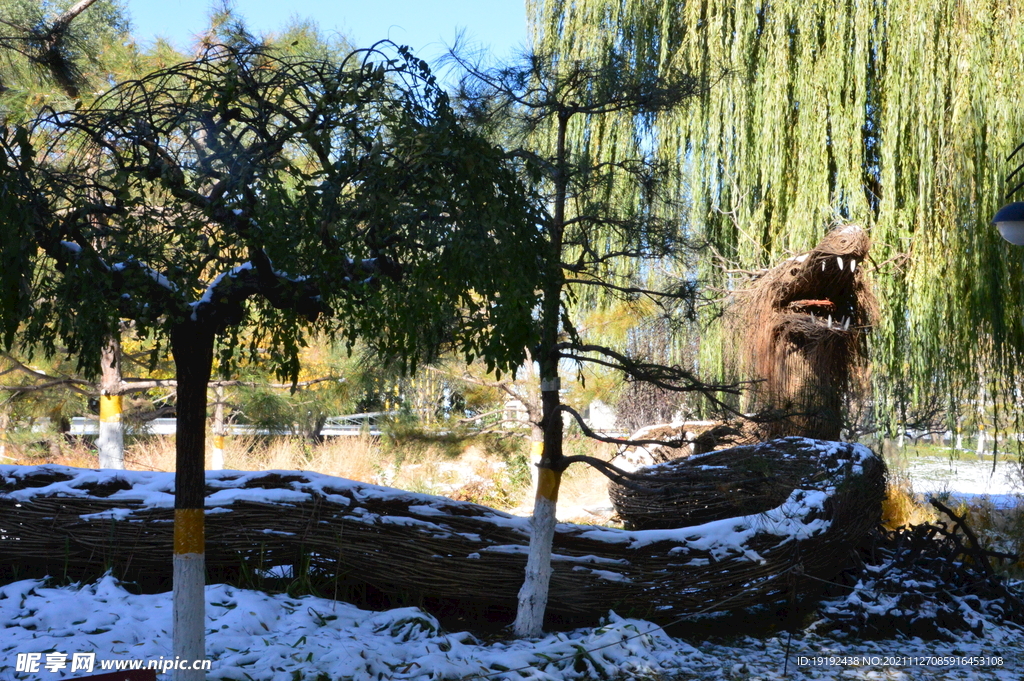 冬雪风景  