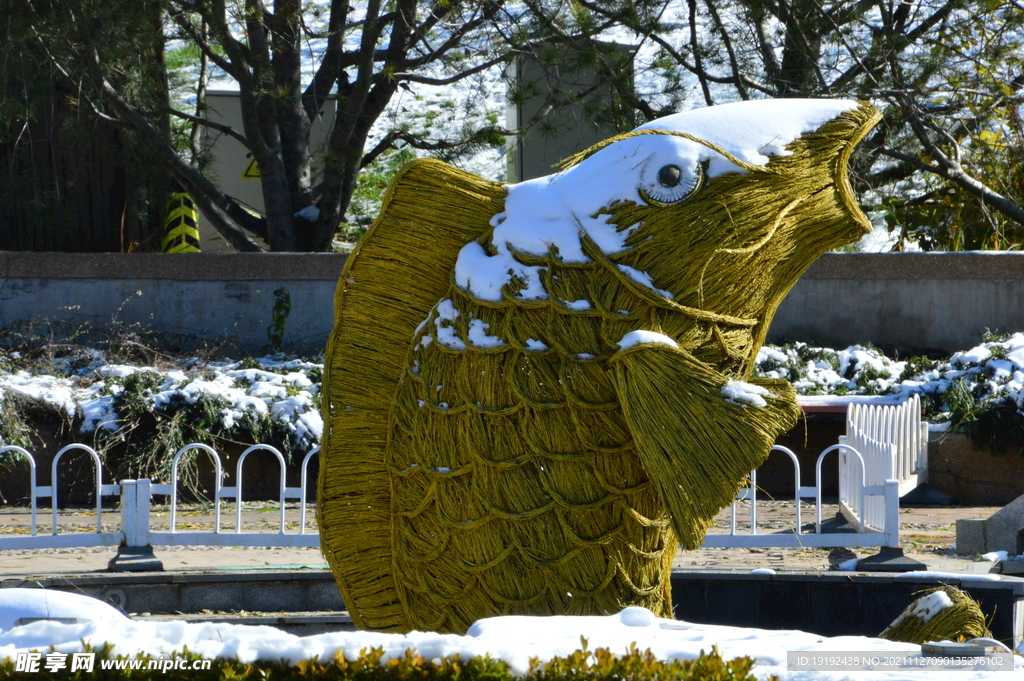 公园风景 