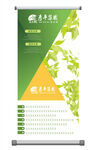 绿色易拉宝