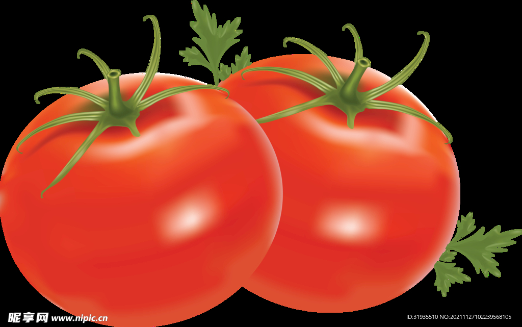 番茄免抠素材