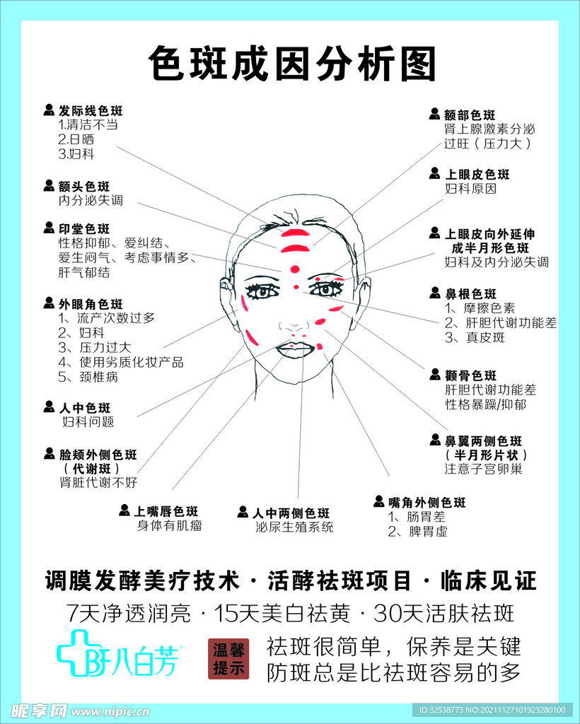 八白芳色斑形成 原因分析图