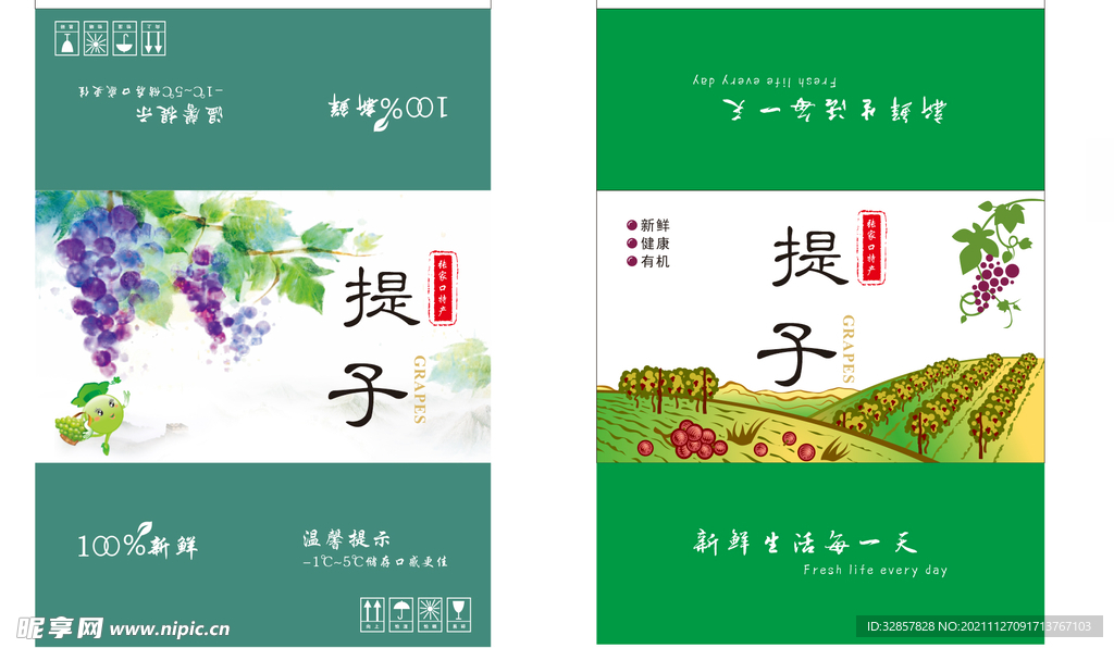 葡萄提子包装