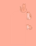 橘猫