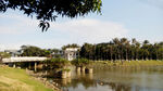 河水风景