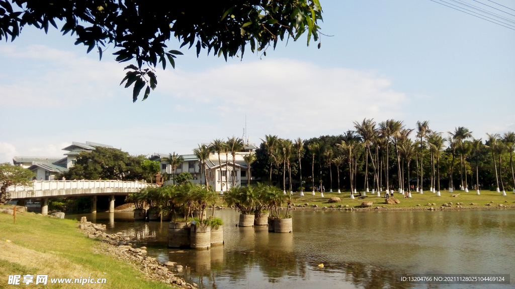 河水风景