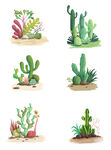仙人掌绿植插画素材