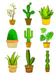 绿植插画素材