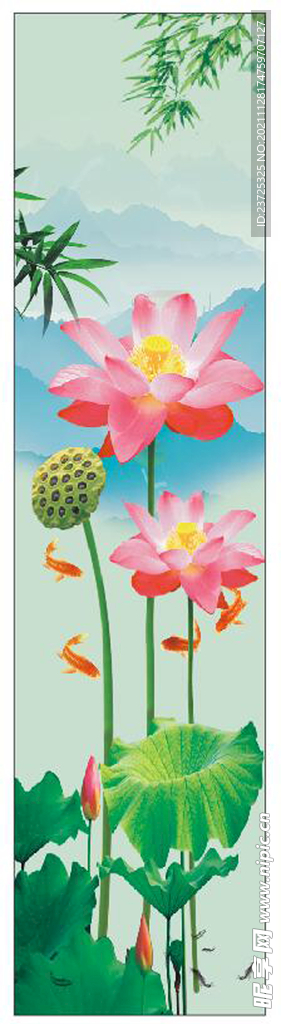 荷花背景图