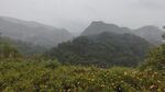 北郊湖一景4