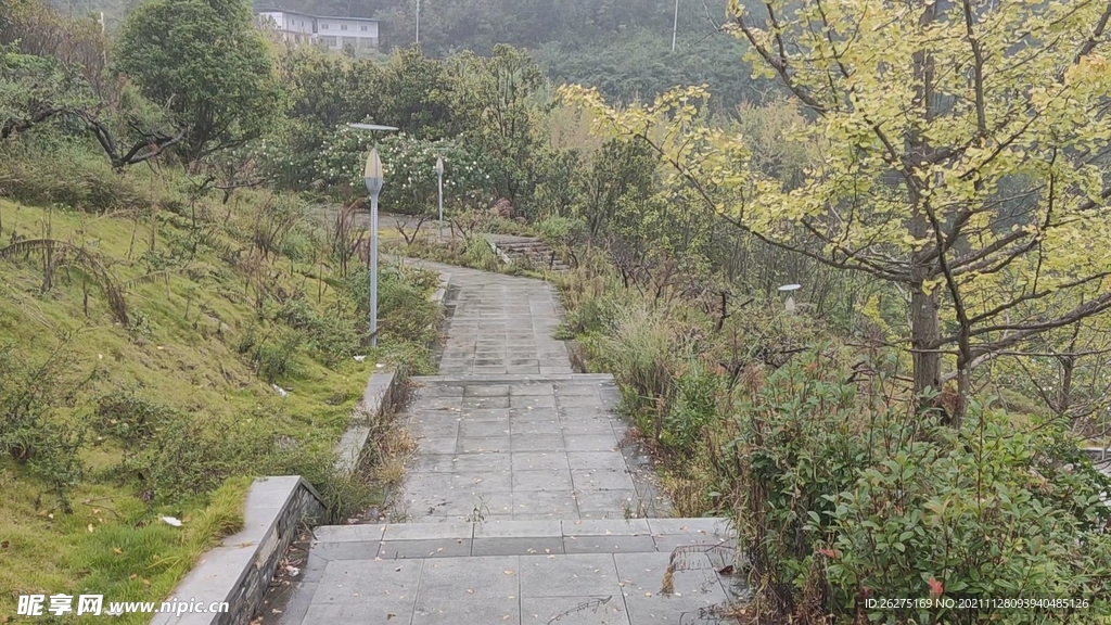 北郊湖小景